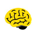 cerebro cerebro