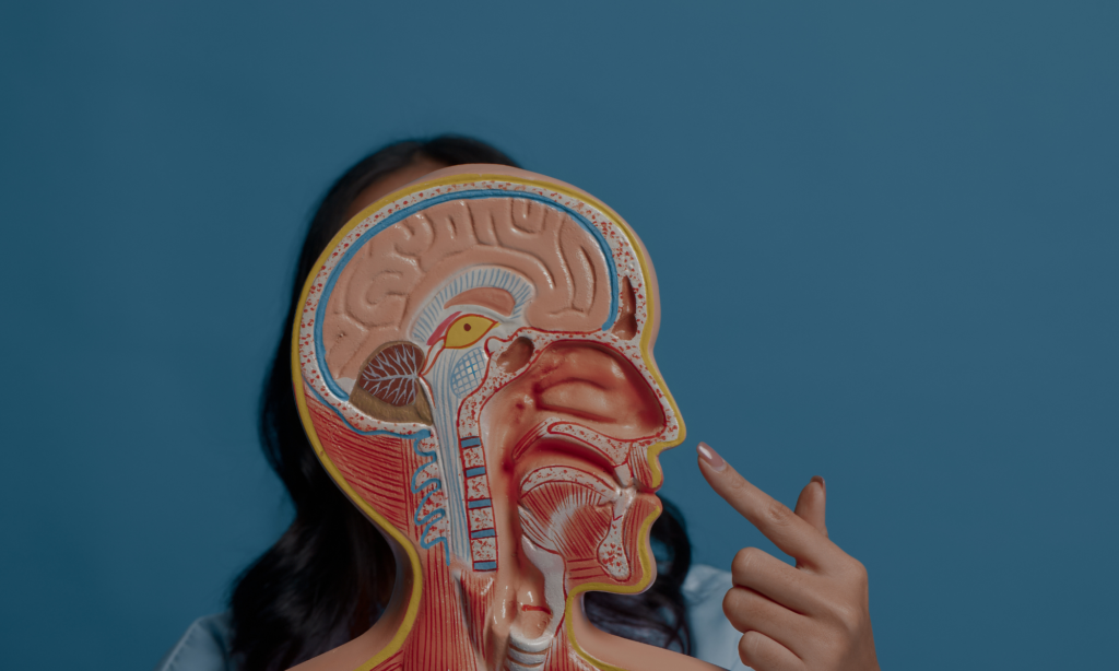 rinoplastia sin cicatrices en malaga