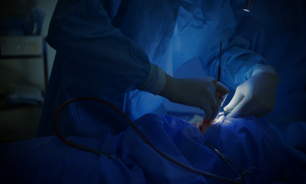 rinoplastia sin cicatrices españa cirujano rinoplastia sin cicatrices españa cirujano